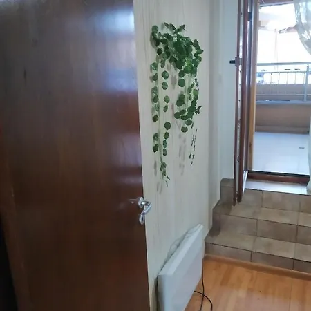 апартмент паисий 15